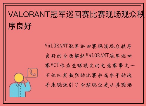 VALORANT冠军巡回赛比赛现场观众秩序良好