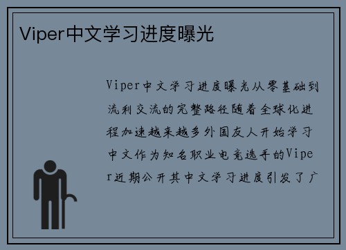 Viper中文学习进度曝光