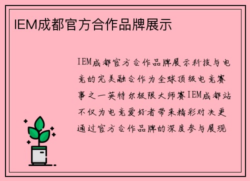 IEM成都官方合作品牌展示